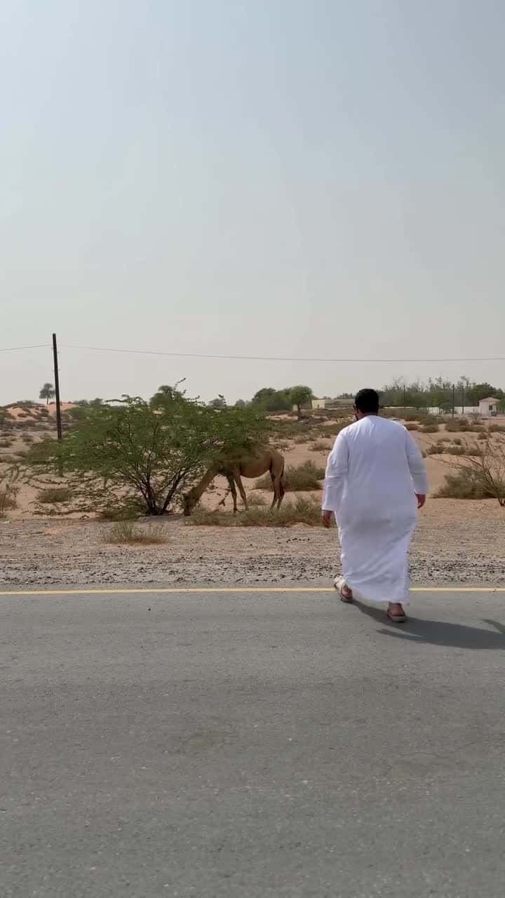 شاشة متنقلة اندرويد لمس ذكية تكتك مع ستاند مدمج 21.5 بوصة Taktik Floor Standing Smart Screen