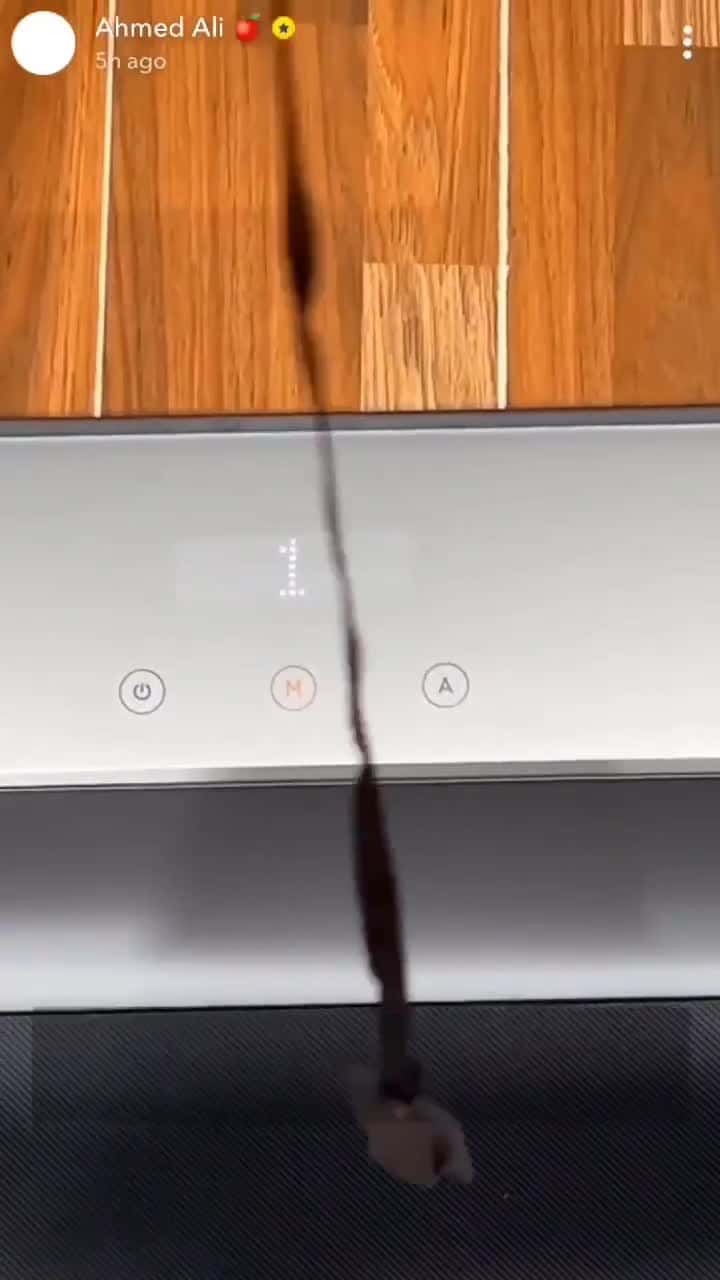 Kingsmith Walkingpad R1 Treadmill 10km/h