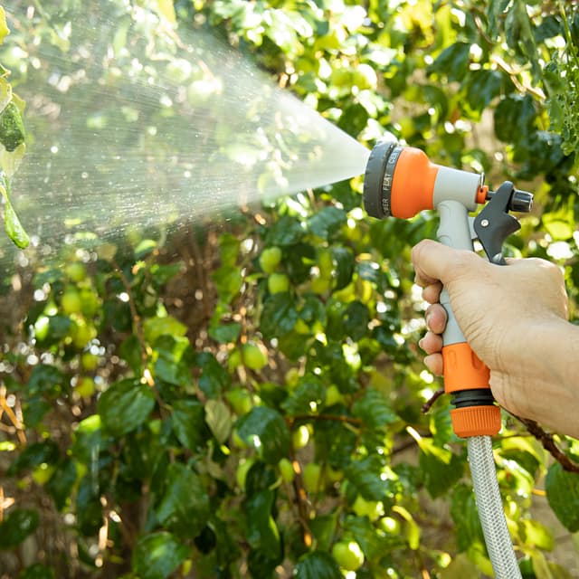 Geepas GWH59056 30M 1/2" Automatic Ready to Water Hose Reel with 180 Swivel Mounting Bracket, Lock Mechanism, Hose Fitting, Adjustable Hose Stop and More