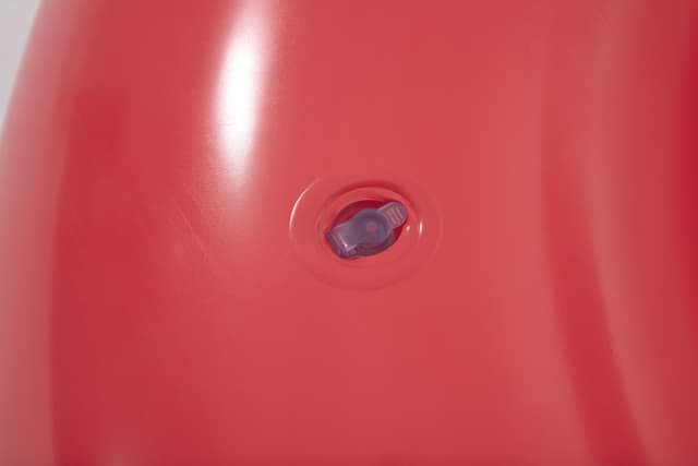 Bestway SCENTSATION RASBERRY SWIMRING 119CM