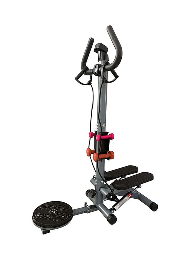 SkyLand 3-In-1 Multi Functional Stepper 100kg
