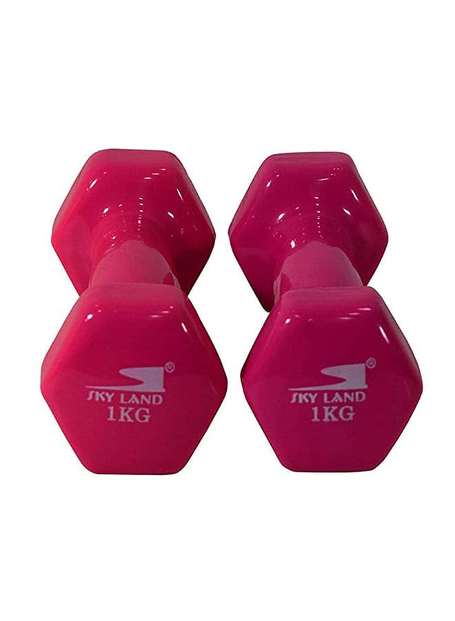 قطعتي دامبل بوزن 2 كغ 2Piece Head Vinyl Dumbbell Set - SkyLand