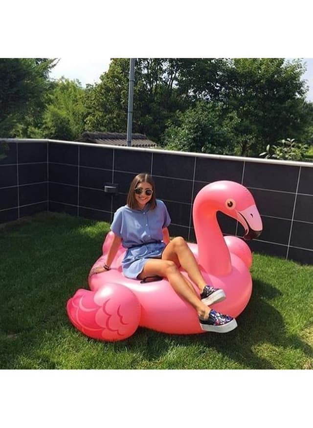 INTEX Flamingo Ride On 142x137x97cm