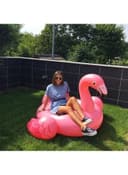INTEX Flamingo Ride On 142x137x97cm
