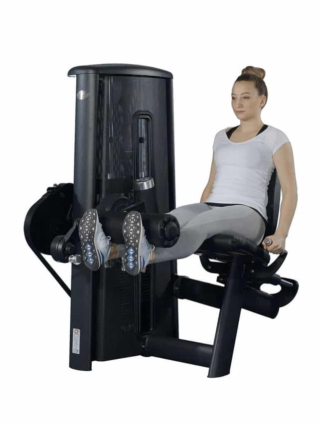 Gym80 Leg Extension Machine