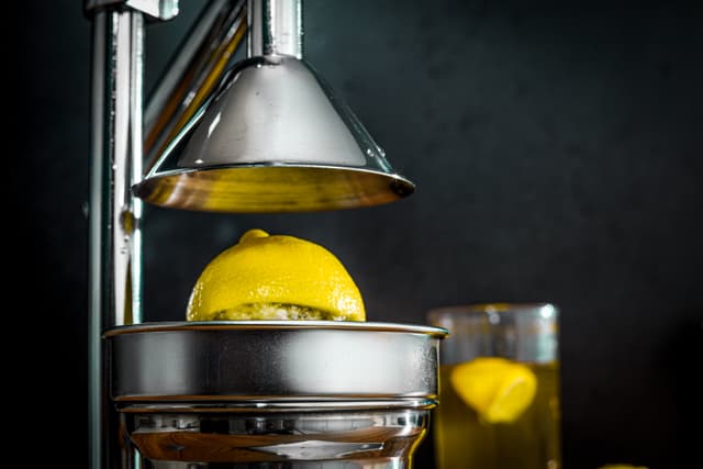 عصارة رمان يدوية ستانلس ستيل ديلكاسا Delcasa Stainless Steel Hand Juicer