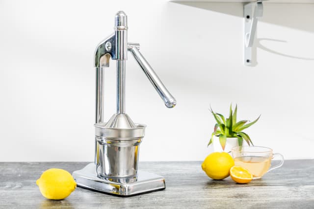 عصارة رمان يدوية ستانلس ستيل ديلكاسا Delcasa Stainless Steel Hand Juicer