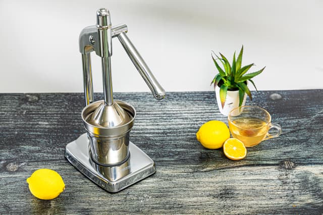 عصارة رمان يدوية ستانلس ستيل ديلكاسا Delcasa Stainless Steel Hand Juicer