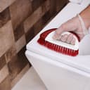 Royalford Multicolored Plastic Cleaning Brush