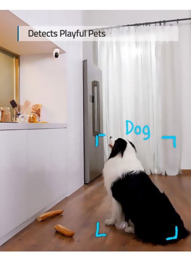 كاميرا يوفي 2 كي بدقة 2 ميجابكسل أسود وأبيض Eufy White/Black 2K Indoor 2MP Security Camera