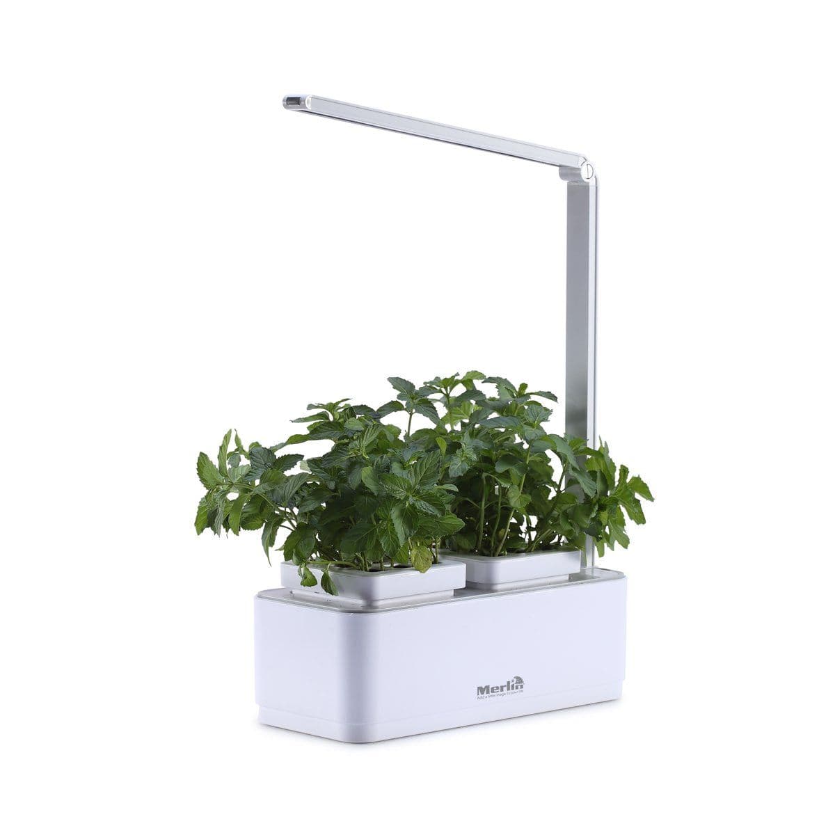 ستاند الزراعة المنزلي DeskGarden- Merlin