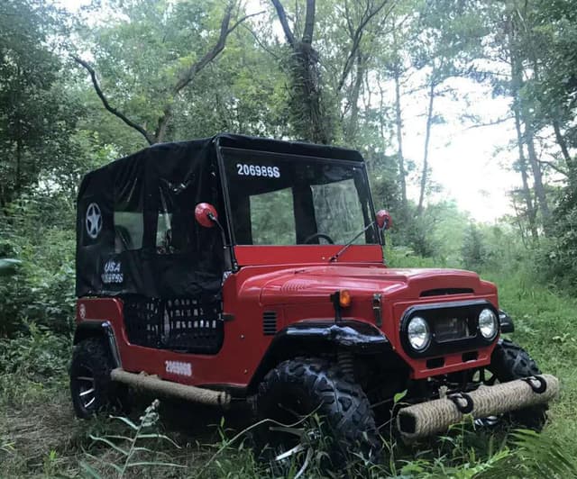 Cool Baby COOLBABY A7-10 Energy Dune Buggy Vehicle UTV Adult Go Kart 4 Wheel Electric Car Key Start 3000W 60V Off Road Electric Jeep Off-road Motorcycle