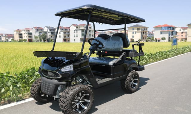 سيارة جولف كهربائية 4 مقاعد 5000 واط 48 فولط كوول بيبيCOOLBABY GRF01-LHX 4 Passengers Off-road Golf Cart