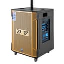 مكبر صوت (سبيكر) - ذهبي CRONY DV-SOUND-MOOM 99 Speaker