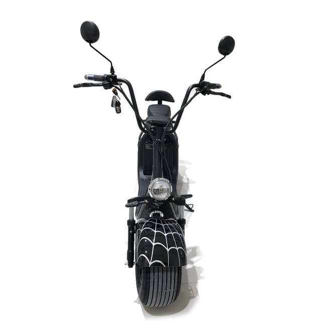 CRONY BIG HARLEY+LI-ion battery+BT+double seat(Black Spid) X3 Electric motorcycle | Black Spiderman