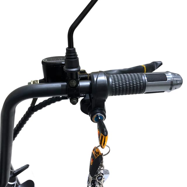 CRONY BIG HARLEY+LI-ion battery+BT+double seat(Black Spid) X3 Electric motorcycle | Black Spiderman