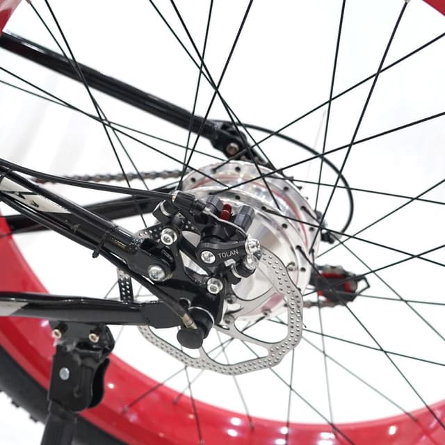 CRONY EM017 Best Electric Bike Fat Tire Wheel Electronic Bicycle 36V 12Ah Lithium Battery Powerful Snow Ebike