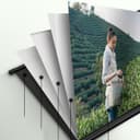 CRONY 72“projector screen with stand Portable Foldable Projection Movie Screen Fabric