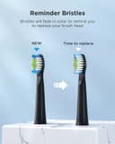 Fairywill E11 Sonic Electric Toothbrush with 8 Bursh Heads Travel Case