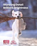 Anker Nebula Vega Go