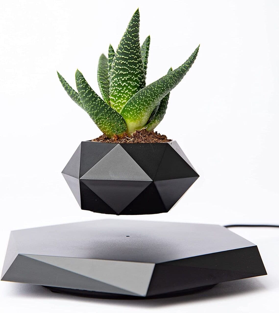 وعاء نبات عائم Floating Plant Pot - Levitating Plant Pot
