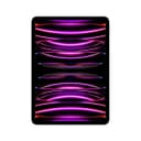Apple iPad Pro 2022 11" 256GB Wifi