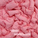 Parry Life Parrylife 3 Pcs Soft / Fluffy Comfortable Bed Comforter Set, Microfiber