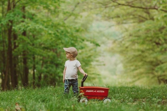 Radio Flyer Push And Play Walker Wagon