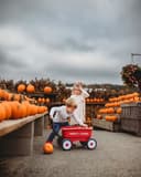Radio Flyer Push And Play Walker Wagon