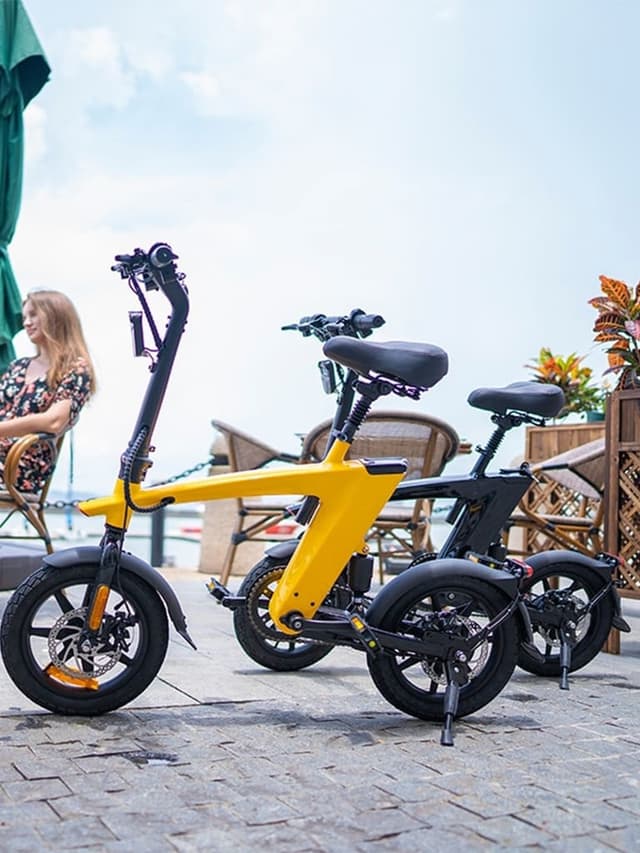 دراجة كهربائية للكبار 25 كم/سا هارلي فيتنس Harley Fitness E-Bike H1