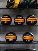 Liftdex Wall Ball Weight 12 Kg