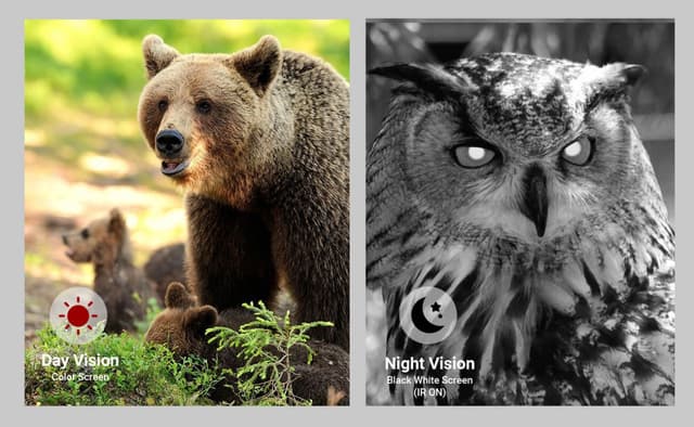 منظار دربيل ليلي 5X ابكسل مع ميزة التسجيل Apexel NV009 Owl-inspired HD Digital Night Vision Goggles