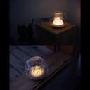 حوض سمك صغير مع اضاءة Fish Bowl Tank With Light