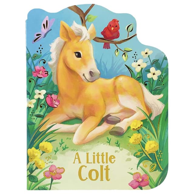 A Little Colt - Book