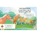 A Little Colt - Book