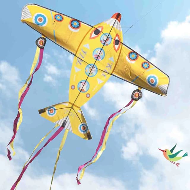 طائرة ورقية بتصميم طائرة من ديجيكو DJECO - Maxi Plane Kite