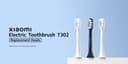 رؤوس بديلة لفرشاة الأسنان الكهربائية T302 عدد 3 أبيض شاومي Xiaomi Electric Toothbrush T302 Replacement Heads