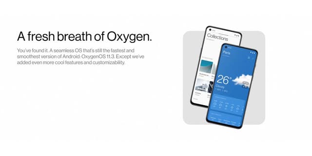 OnePlus Nord 2 5G 12GB RAM 256GB Gray, 6.43-inch Fluid AMOLED Display, MediaTek Dimensity 1200-AI Processor, 50MP Camera, 4500mAh Battery, 65W Warp Charge