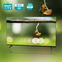 Winning Star Flat Screen Television Smart TV 32 inch