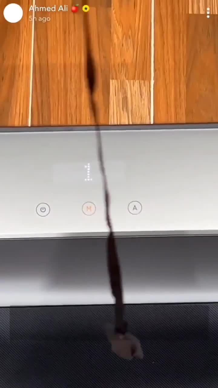 Kingsmith Walkingpad R1 Treadmill 10km/h