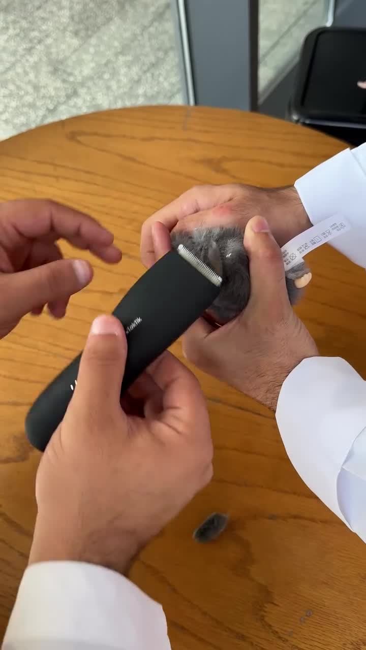 Men's genital shaver